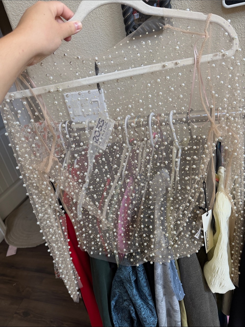 Haute Monde Blush Pearl-Embellished Sheer Garment Bag